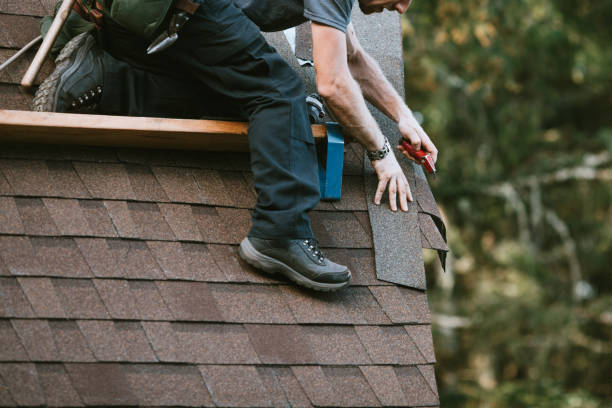 Best Roof Gutter Cleaning  in Country Clu, CA